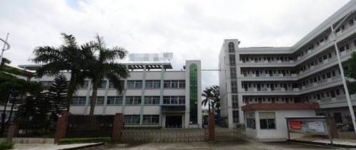 绿色规范，硅业长青——东莞硅胶制品厂通关环保审批全纪实
